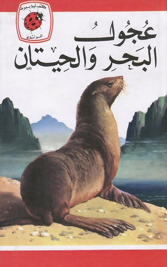 قصة عجول البحر والحيتان
