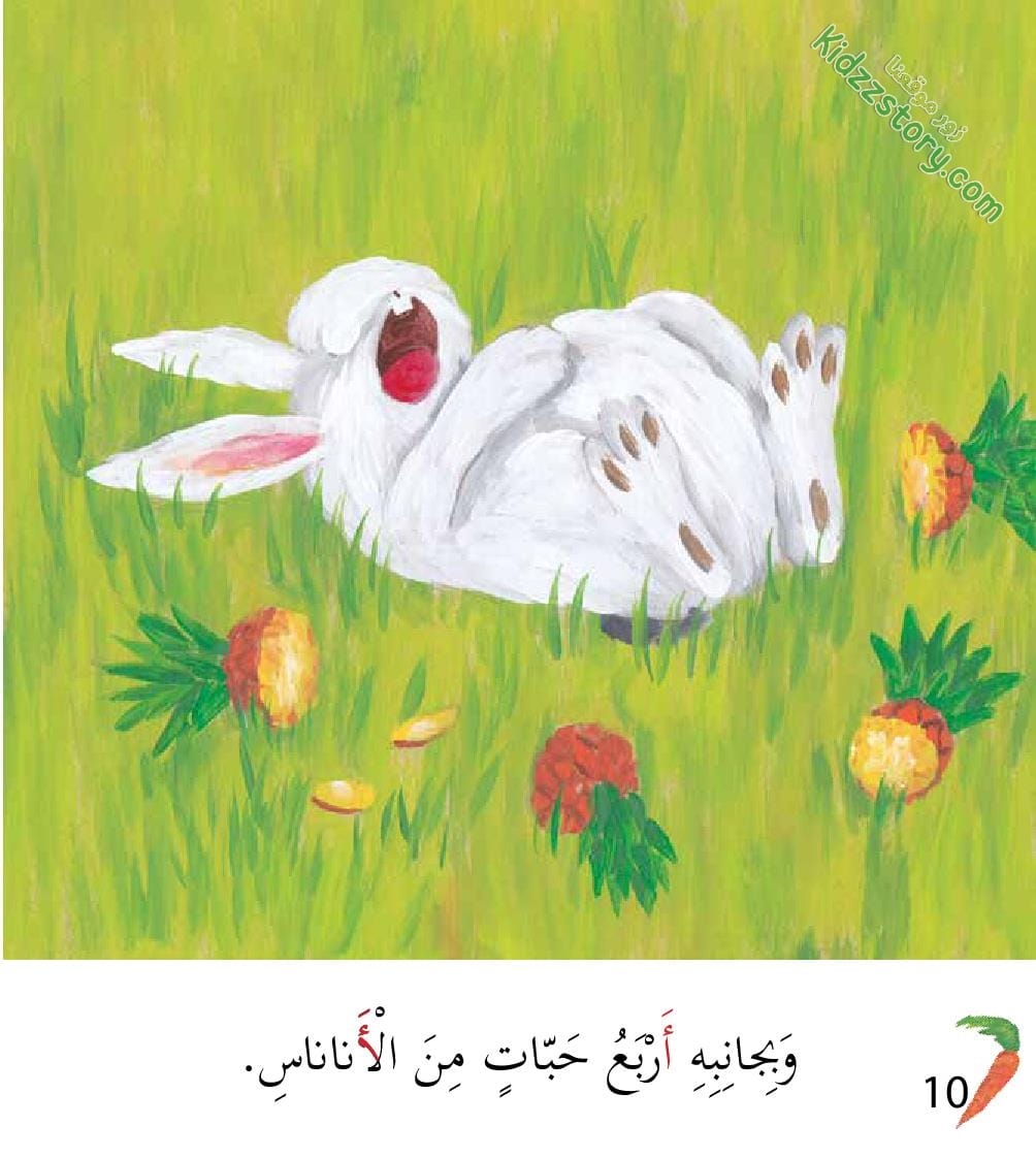 أوشي الأرنب الأكول أوشي الأرنب الأكول - الصورة 11