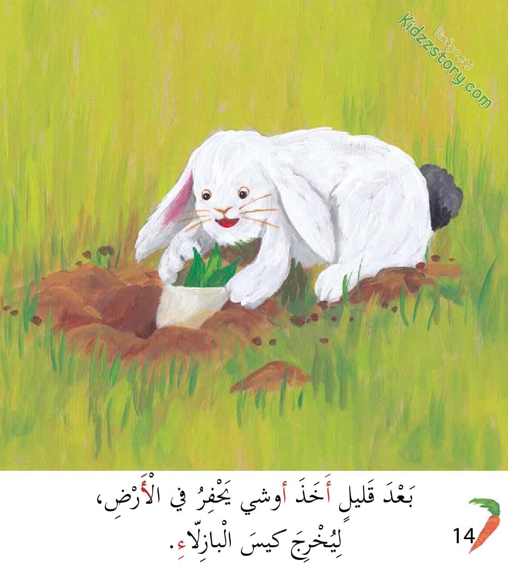 أوشي الأرنب الأكول أوشي الأرنب الأكول - الصورة 15