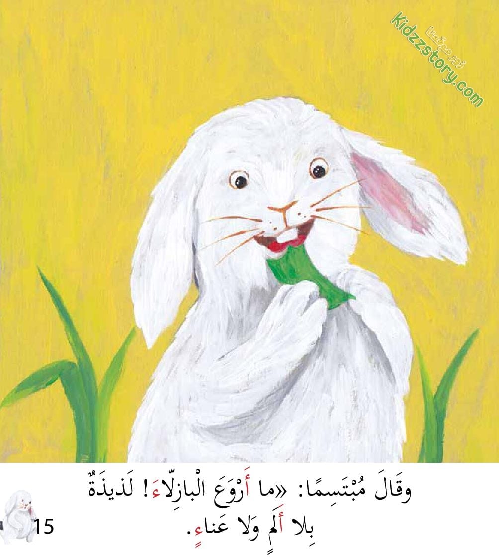 أوشي الأرنب الأكول أوشي الأرنب الأكول - الصورة 16