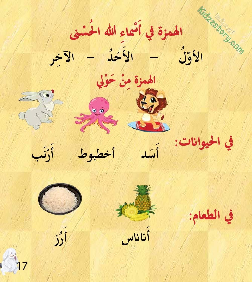 أوشي الأرنب الأكول أوشي الأرنب الأكول - الصورة 17