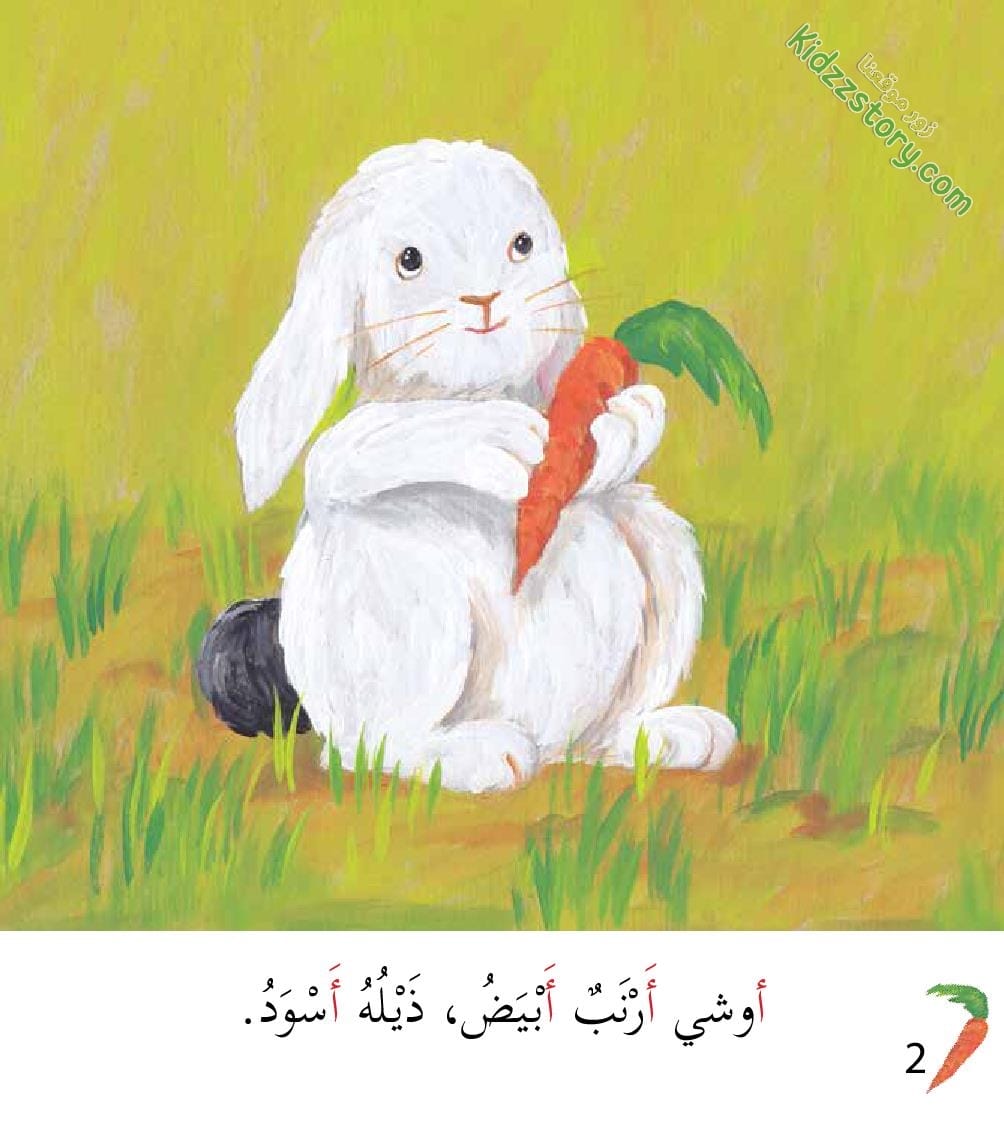 أوشي الأرنب الأكول أوشي الأرنب الأكول - الصورة 3
