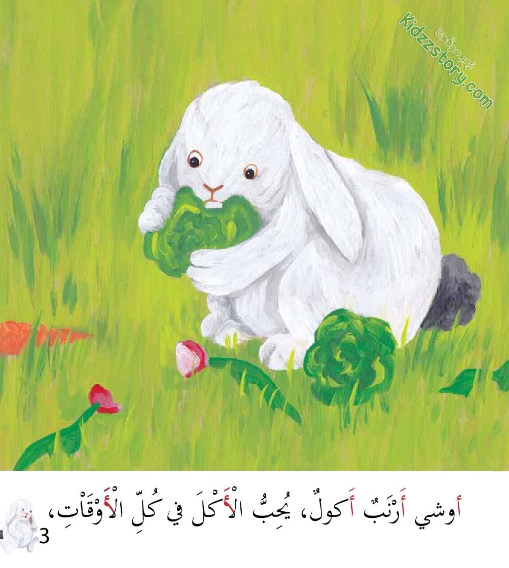 أوشي الأرنب الأكول أوشي الأرنب الأكول - الصورة 5
