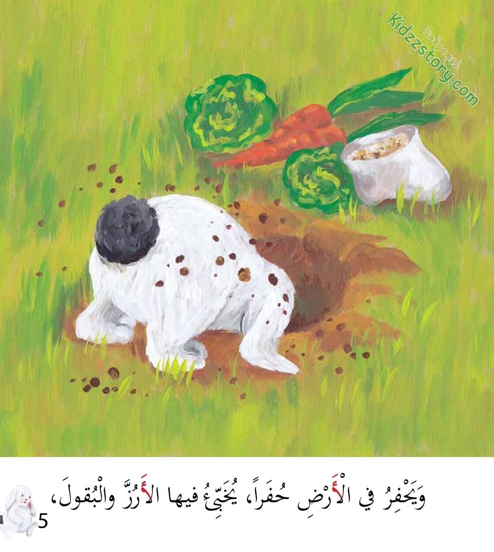 أوشي الأرنب الأكول أوشي الأرنب الأكول - الصورة 6
