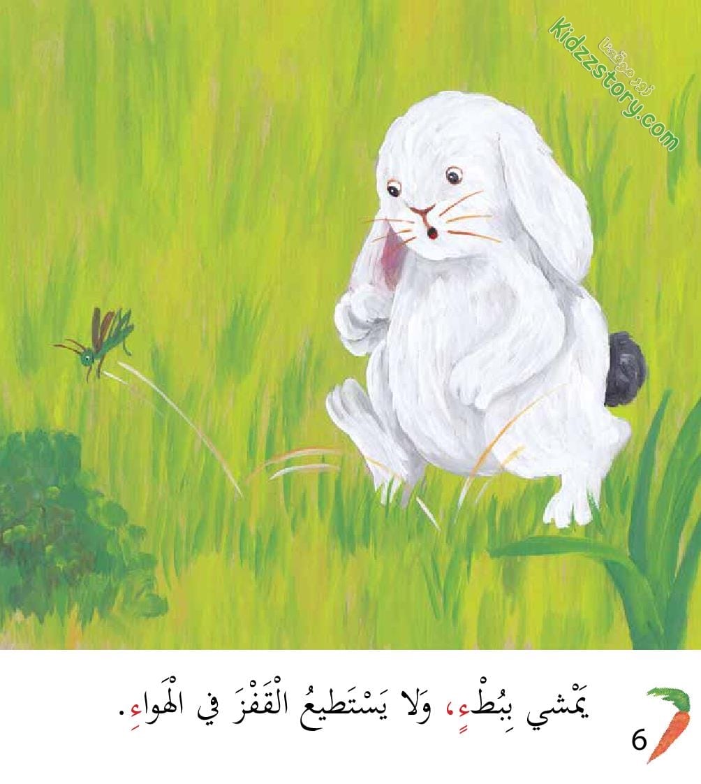 أوشي الأرنب الأكول أوشي الأرنب الأكول - الصورة 7