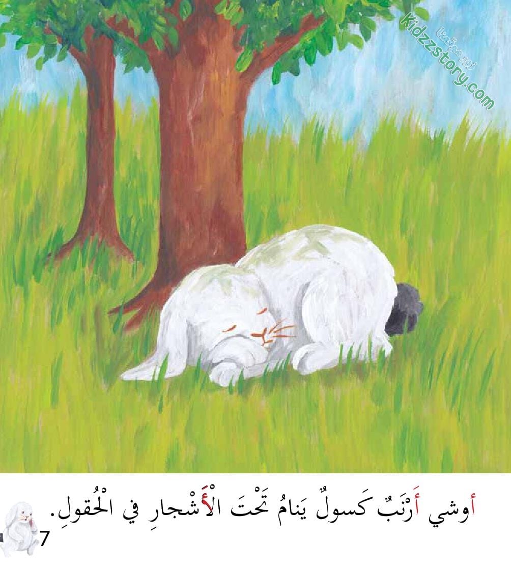 أوشي الأرنب الأكول أوشي الأرنب الأكول - الصورة 8