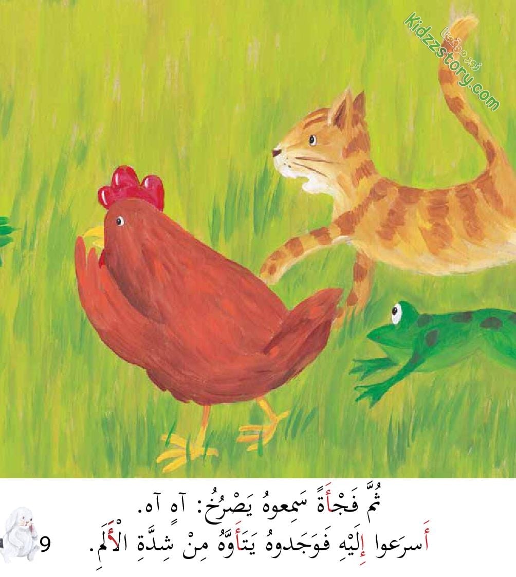 أوشي الأرنب الأكول أوشي الأرنب الأكول - الصورة 10