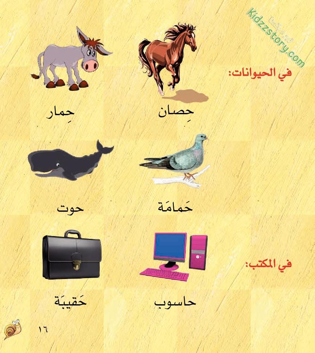 حلزون يجد له صديقا حلزون يجد له صديقا - الصورة 19