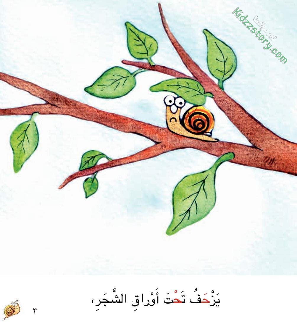 حلزون يجد له صديقا حلزون يجد له صديقا - الصورة 6
