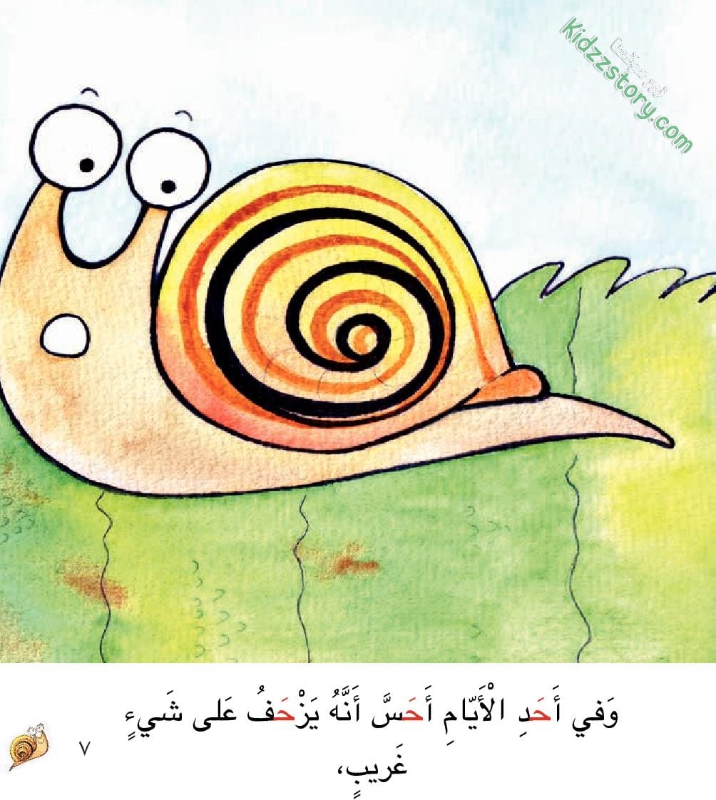 حلزون يجد له صديقا حلزون يجد له صديقا - الصورة 10