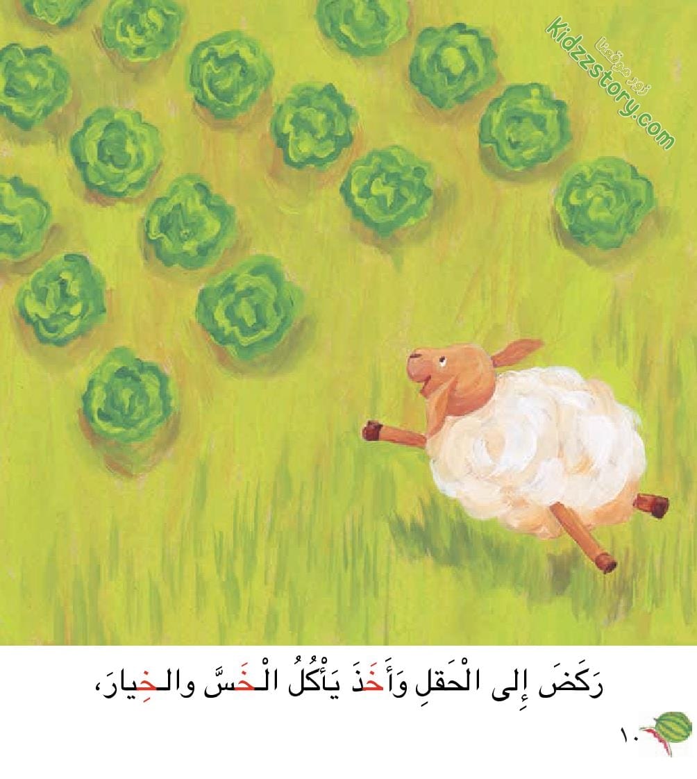 خشون الخروف الخفي خشون الخروف الخفي - الصورة 13