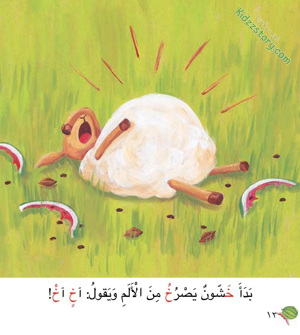خشون الخروف الخفي خشون الخروف الخفي - الصورة 15