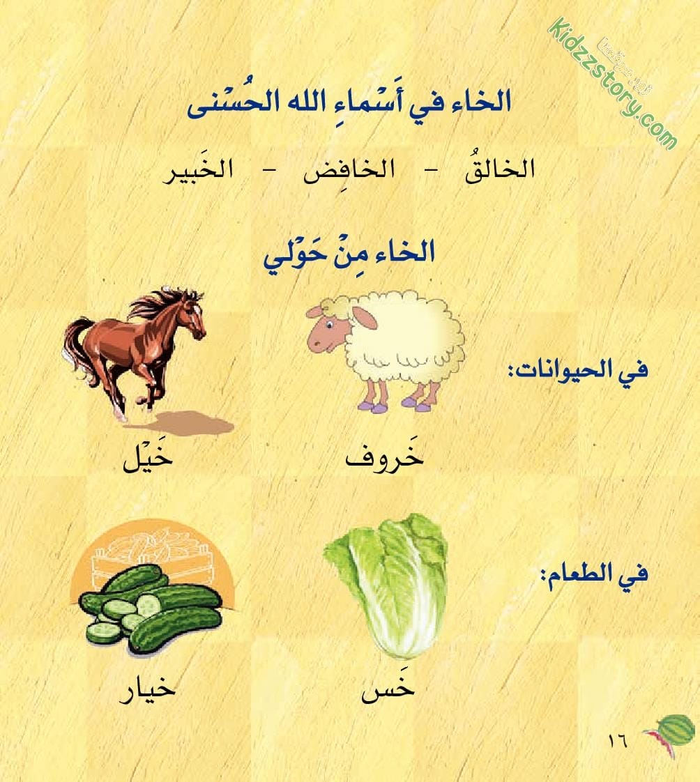 خشون الخروف الخفي خشون الخروف الخفي - الصورة 19