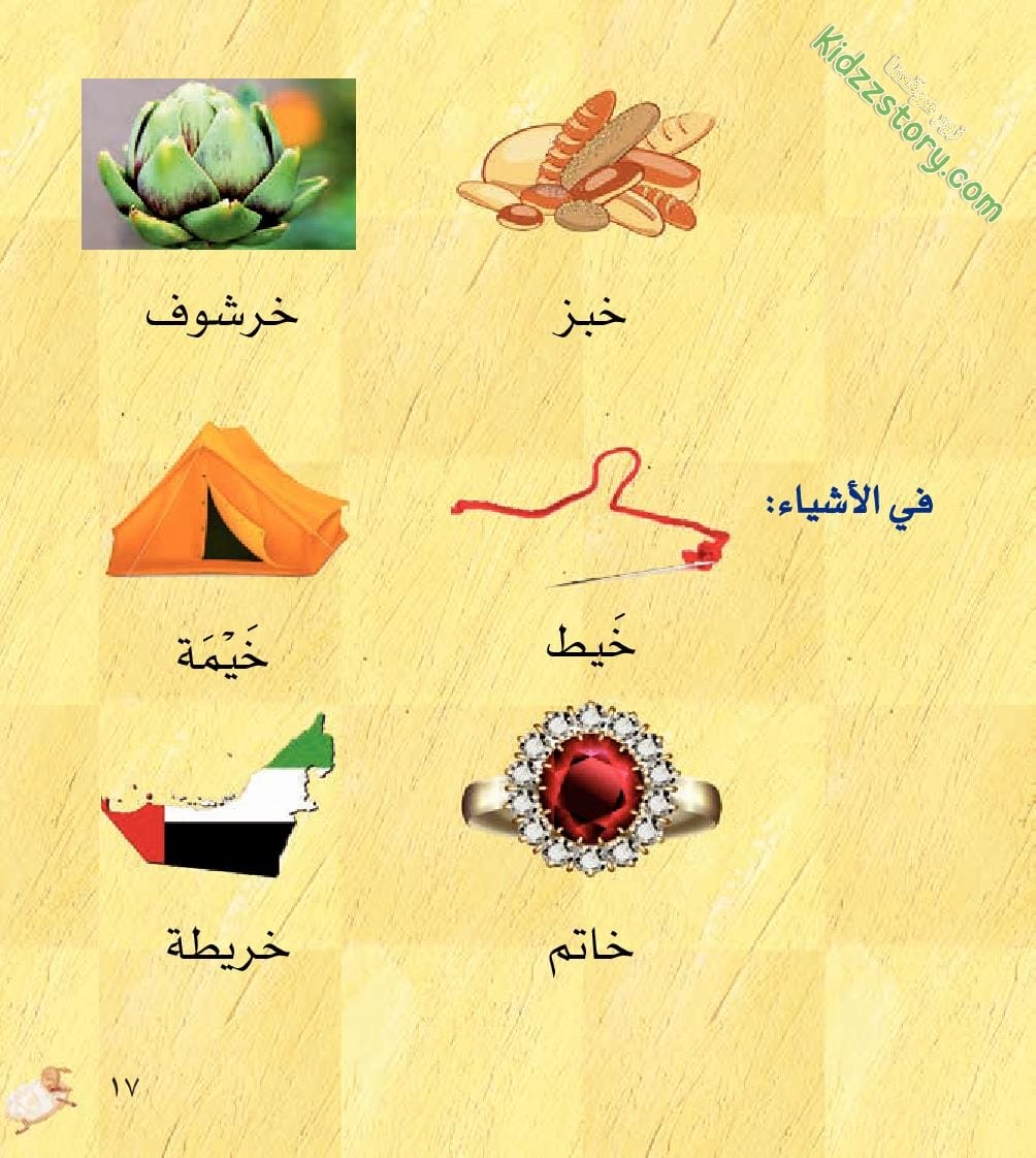خشون الخروف الخفي خشون الخروف الخفي - الصورة 20