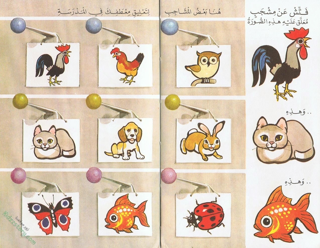 الحديث عن دخول المدرسة الحديث عن دخول المدرسة - الصورة 8