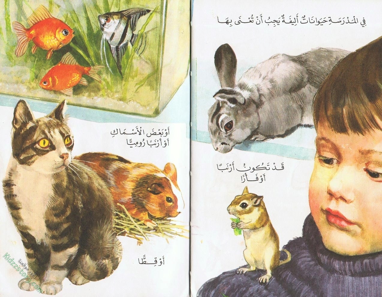 الحديث عن دخول المدرسة الحديث عن دخول المدرسة - الصورة 9
