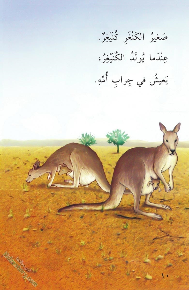 صغار الحيوانات صغار الحيوانات - الصورة 11