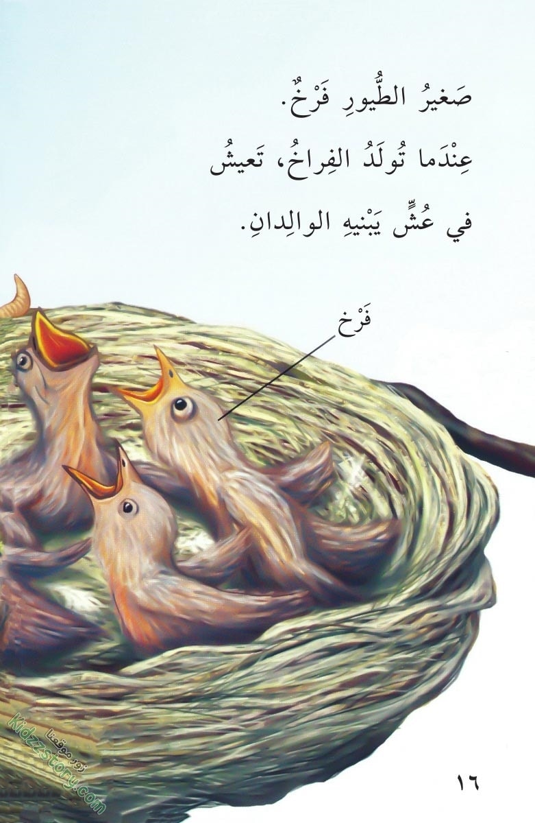 صغار الحيوانات صغار الحيوانات - الصورة 17