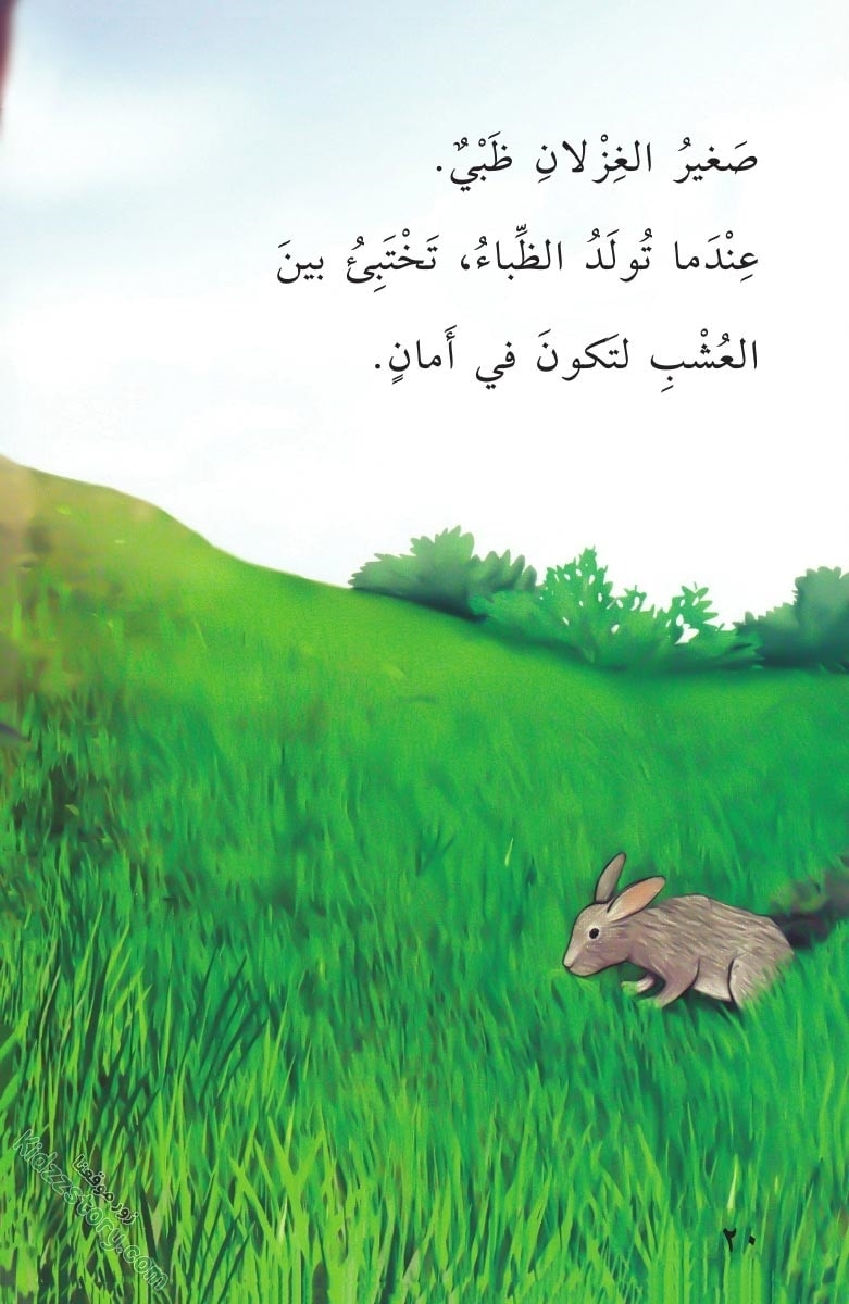 صغار الحيوانات صغار الحيوانات - الصورة 21