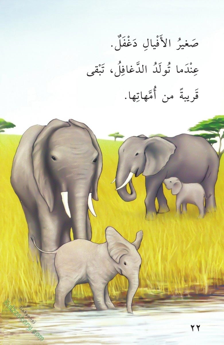 صغار الحيوانات صغار الحيوانات - الصورة 23