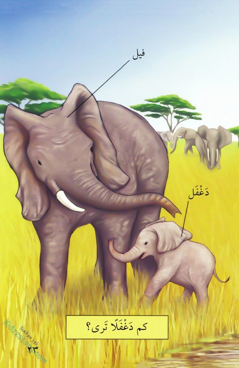 صغار الحيوانات صغار الحيوانات - الصورة 24