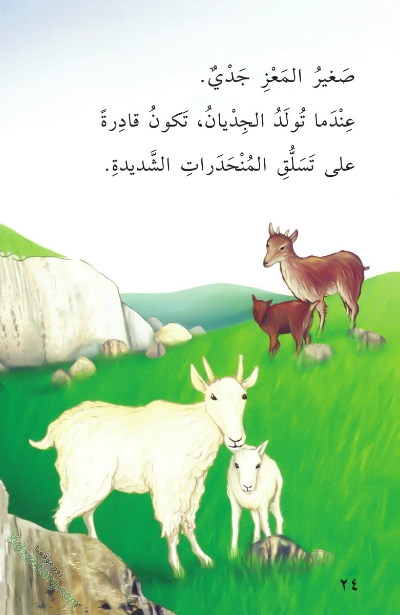 صغار الحيوانات صغار الحيوانات - الصورة 25