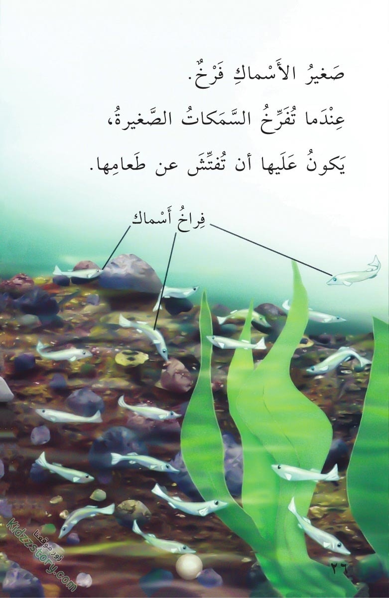 صغار الحيوانات صغار الحيوانات - الصورة 27