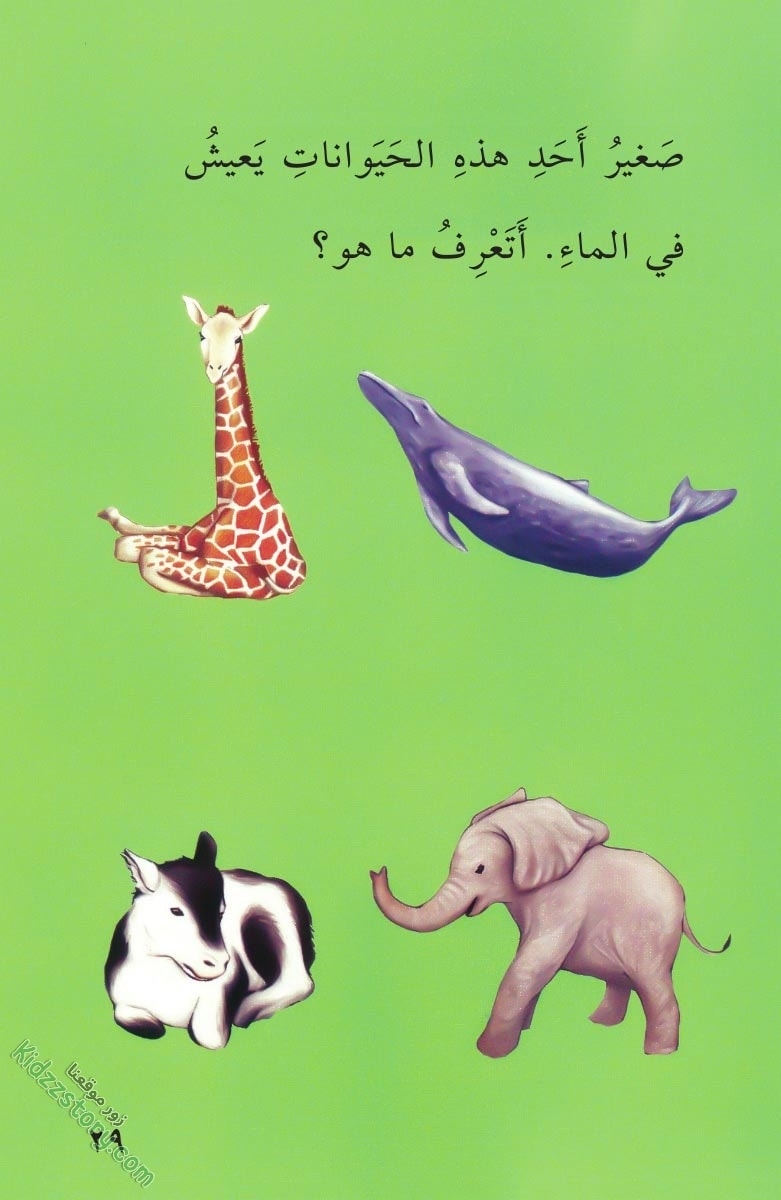 صغار الحيوانات صغار الحيوانات - الصورة 30