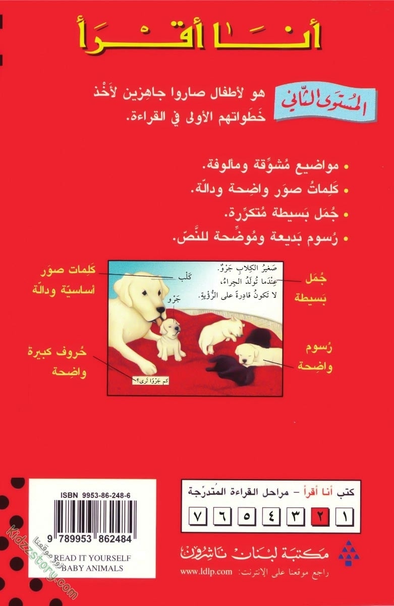 صغار الحيوانات صغار الحيوانات - الصورة 33