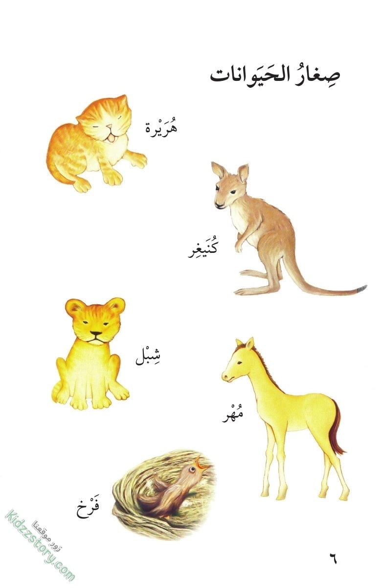 صغار الحيوانات صغار الحيوانات - الصورة 7