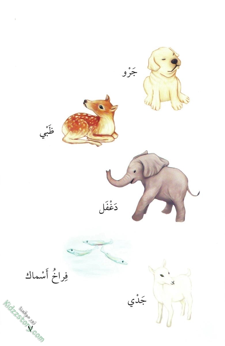 صغار الحيوانات صغار الحيوانات - الصورة 8