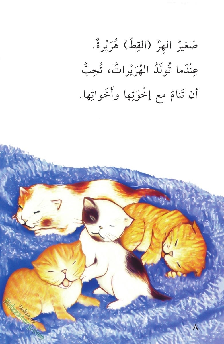 صغار الحيوانات صغار الحيوانات - الصورة 9