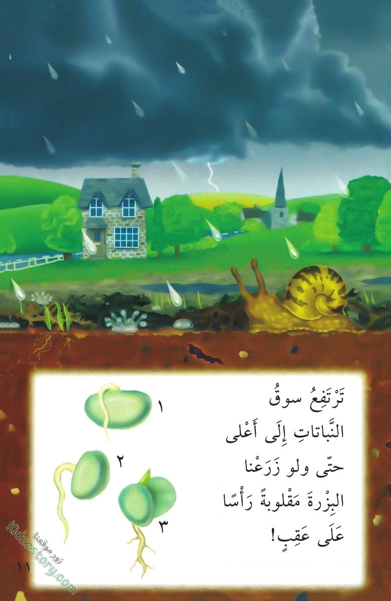 نباتات مدهشة نباتات مدهشة - الصورة 12