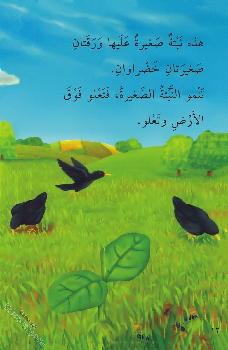 نباتات مدهشة نباتات مدهشة - الصورة 13