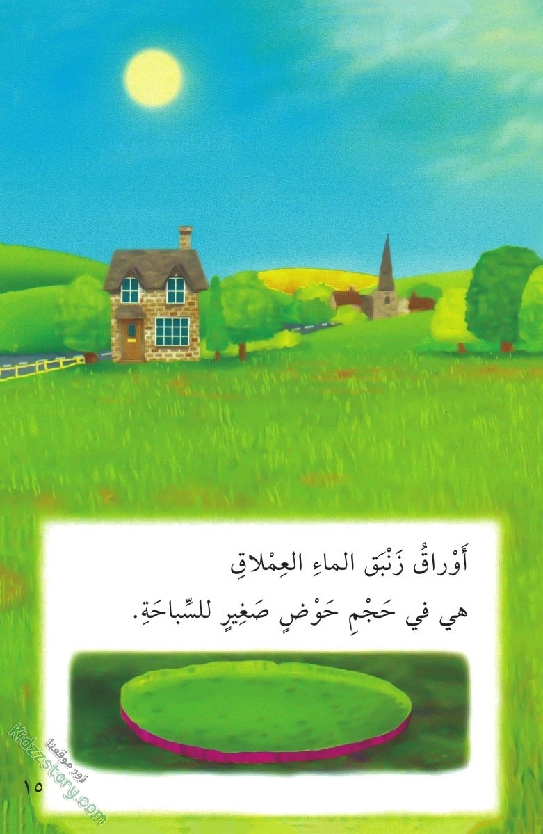 نباتات مدهشة نباتات مدهشة - الصورة 16