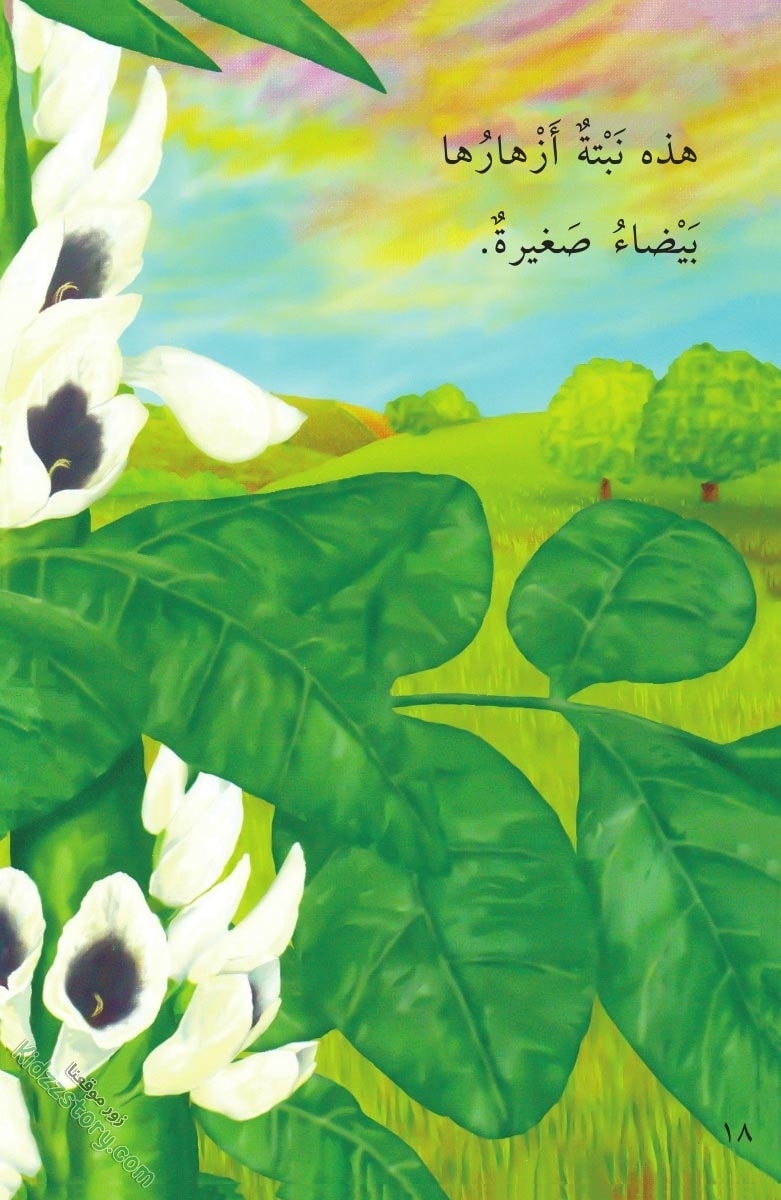 نباتات مدهشة نباتات مدهشة - الصورة 19