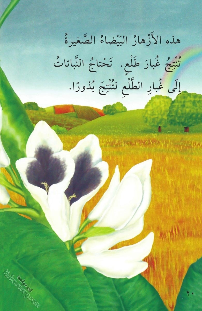 نباتات مدهشة نباتات مدهشة - الصورة 21