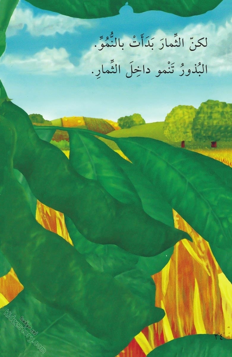 نباتات مدهشة نباتات مدهشة - الصورة 25