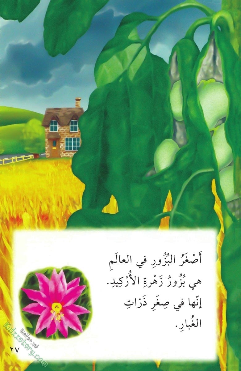 نباتات مدهشة نباتات مدهشة - الصورة 28