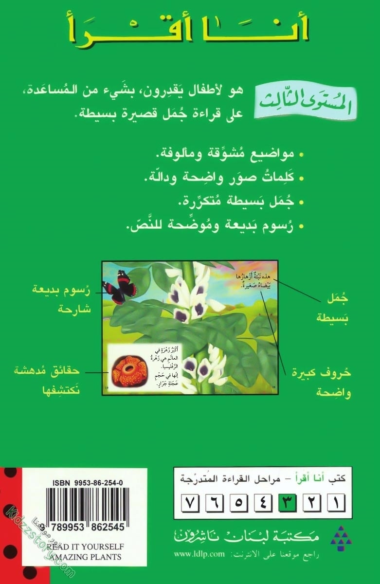 نباتات مدهشة نباتات مدهشة - الصورة 33