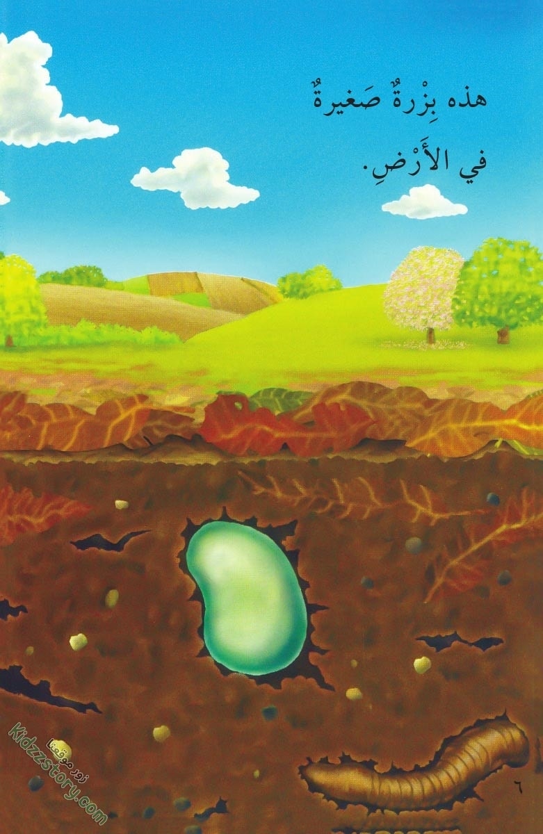 نباتات مدهشة نباتات مدهشة - الصورة 7