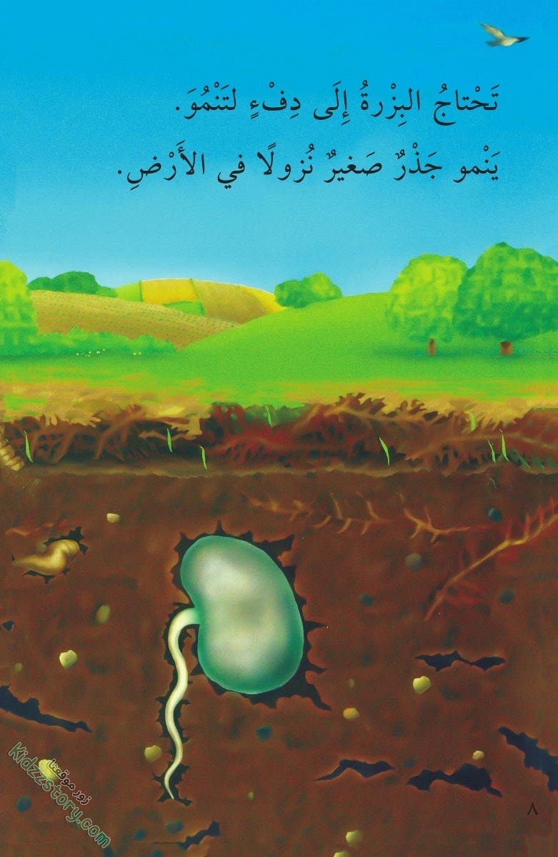 نباتات مدهشة نباتات مدهشة - الصورة 9