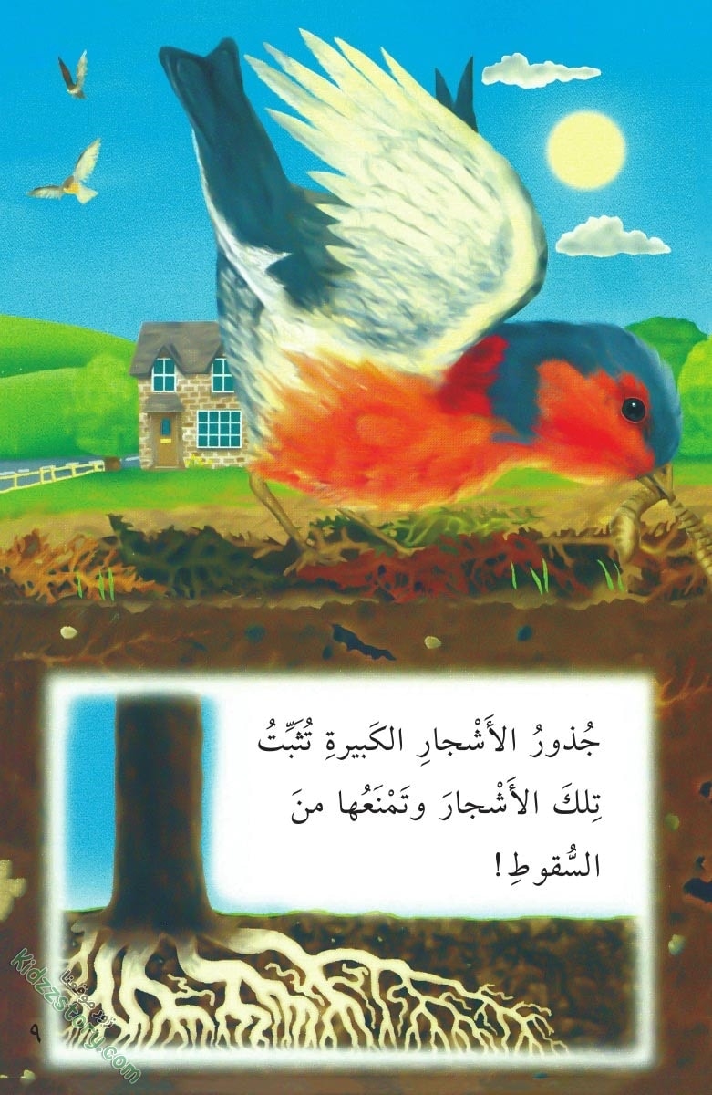 نباتات مدهشة نباتات مدهشة - الصورة 10