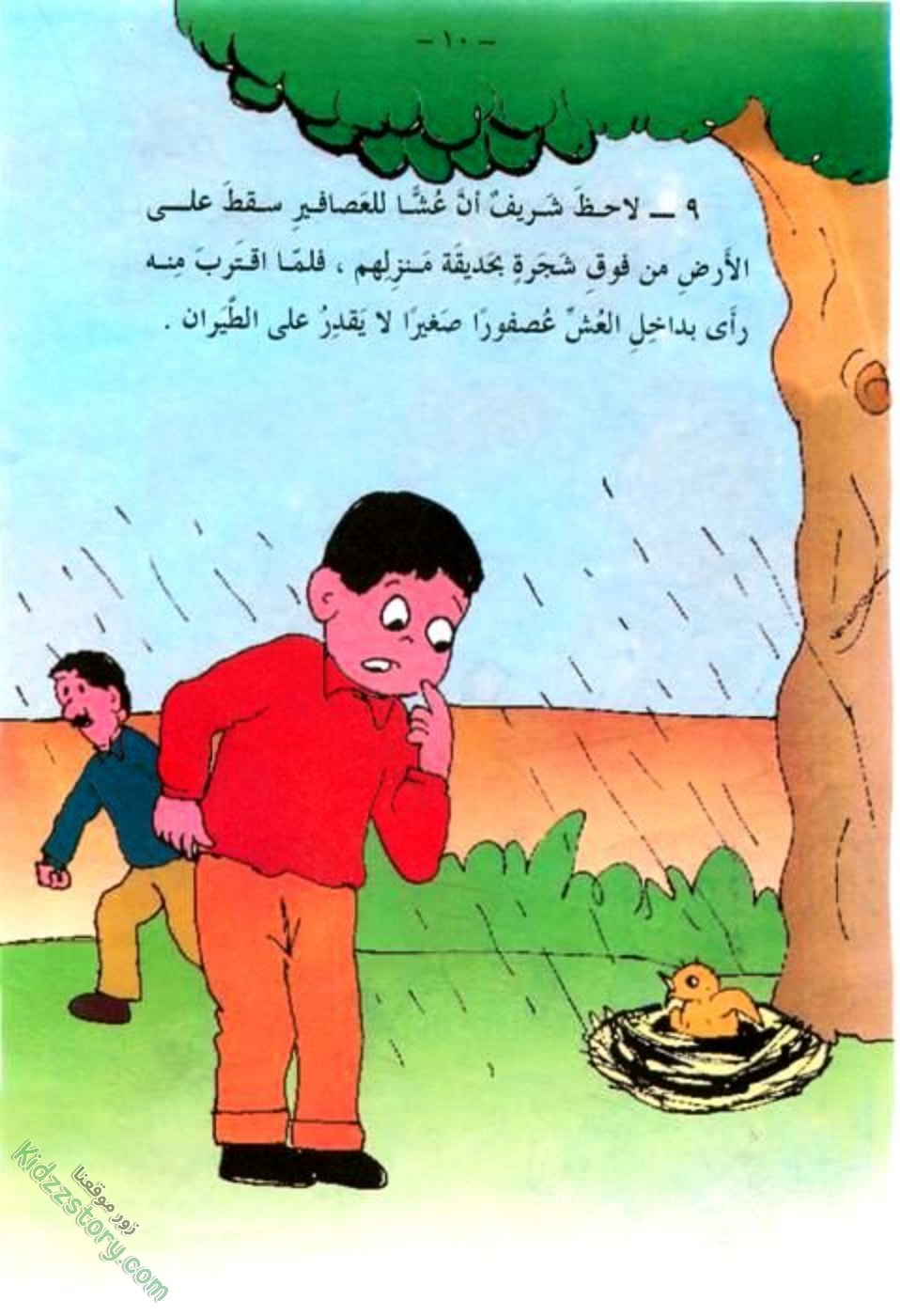 العصفور الصغير العصفور الصغير - الصورة 11