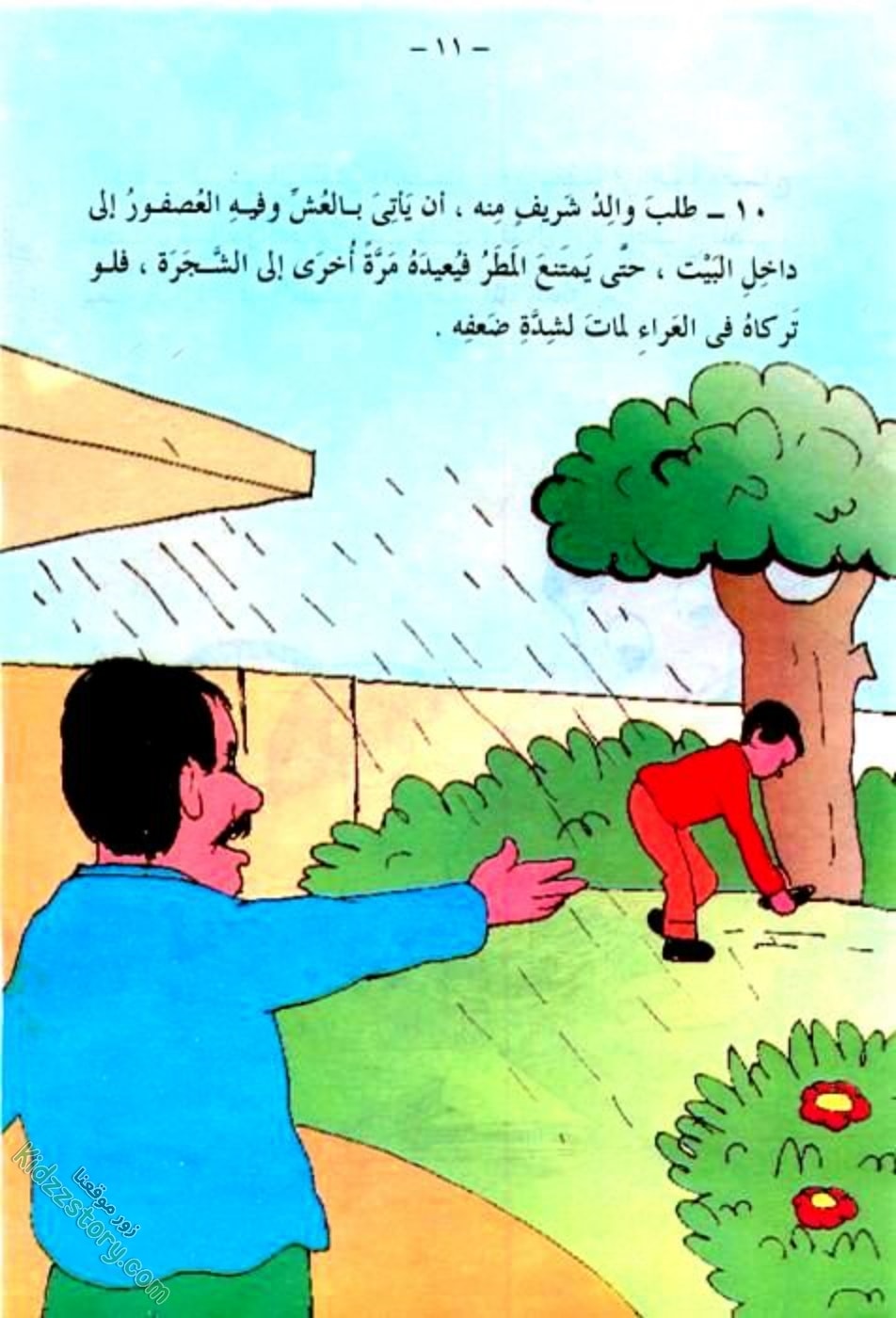 العصفور الصغير العصفور الصغير - الصورة 12