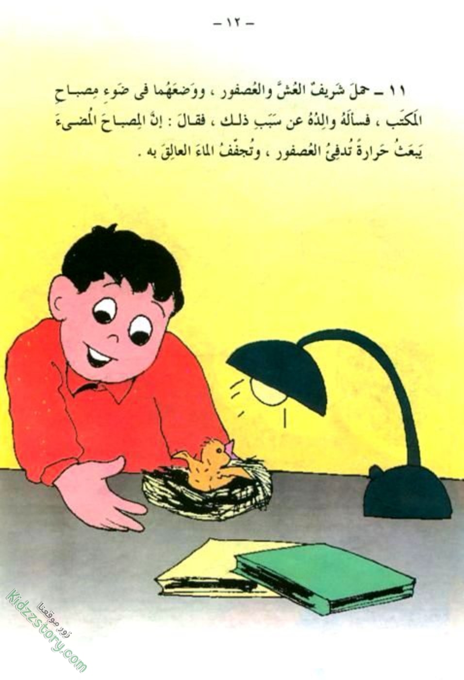 العصفور الصغير العصفور الصغير - الصورة 13