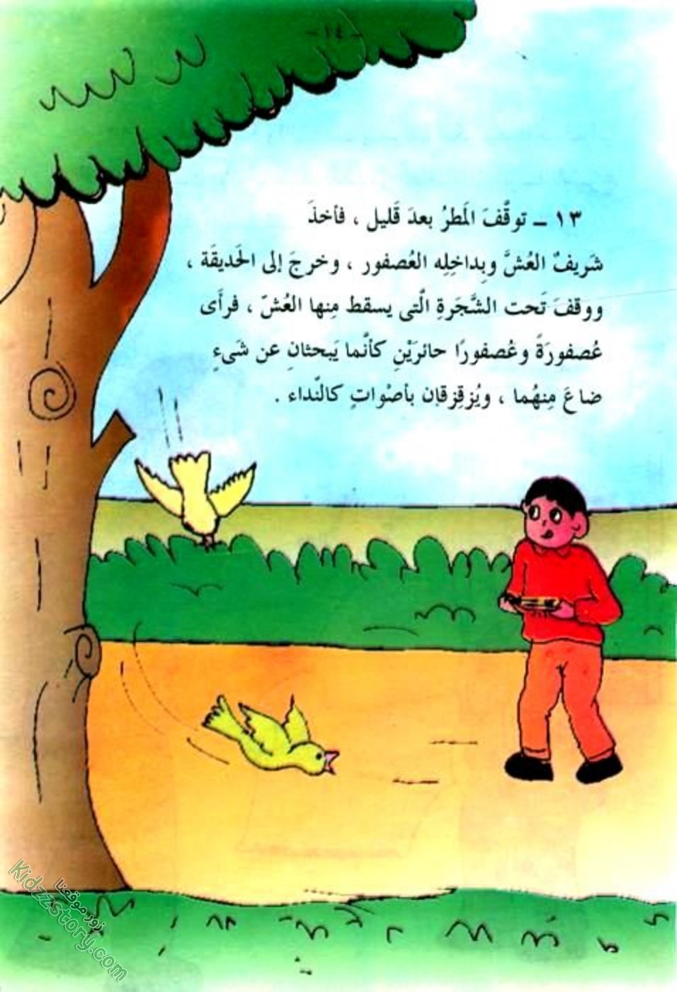 العصفور الصغير العصفور الصغير - الصورة 15
