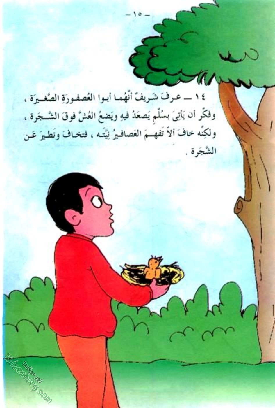 العصفور الصغير العصفور الصغير - الصورة 16