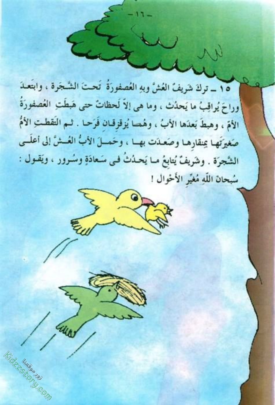 العصفور الصغير العصفور الصغير - الصورة 17