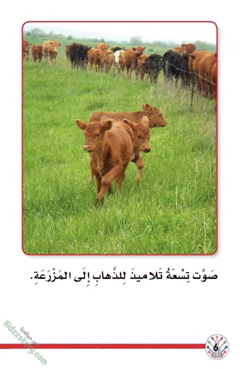 رحلتنا الميدانية رحلتنا الميدانية - الصورة 8
